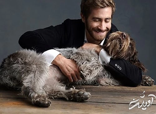 روز جهانی سگ، وفادارترین دوست انسان